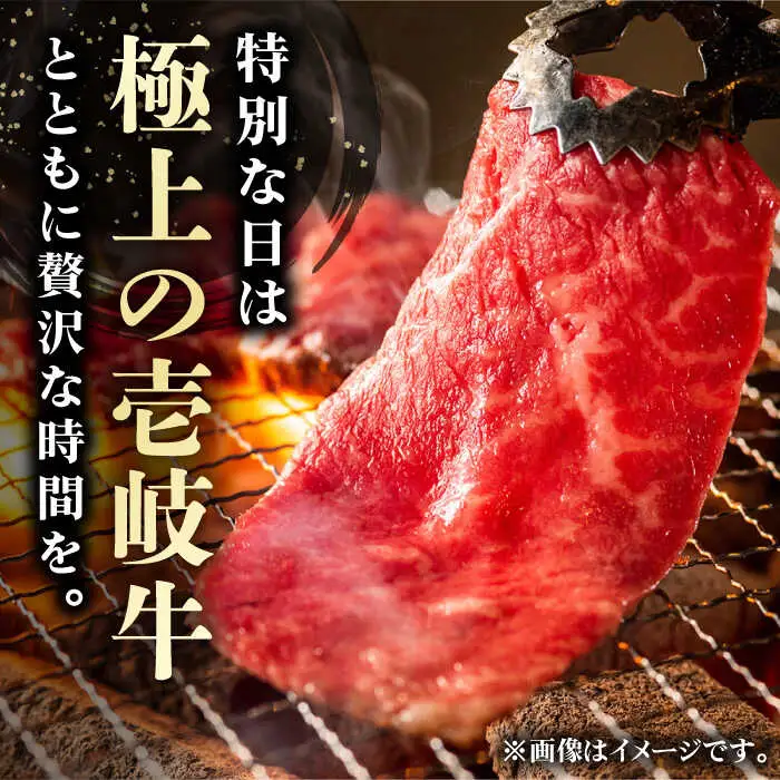 【全2回定期便】 壱岐牛 赤身 600g（焼肉用）《壱岐市》【壱岐市農業協同組合】 肉 牛肉 焼肉 BBQ 赤身 [JBO128] 48000 48000円