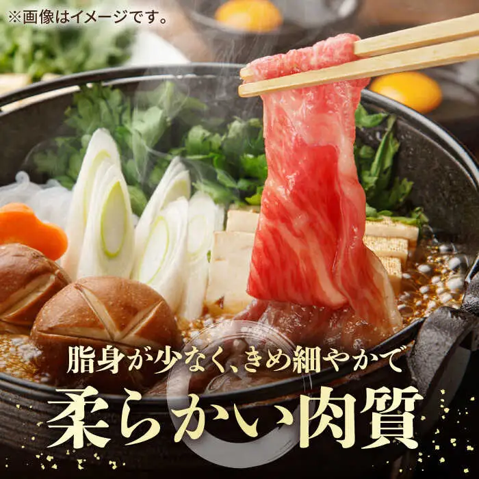 【全2回定期便】 壱岐牛 赤身 600g（すき焼き・しゃぶしゃぶ用）《壱岐市》【壱岐市農業協同組合】 肉 牛肉  すき焼き しゃぶしゃぶ 赤身 [JBO130] 48000 48000円