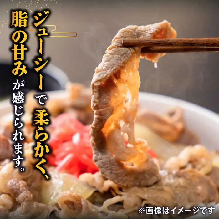【全2回定期便】特選 壱岐牛 切り落とし 500g (牛丼/肉じゃが/炒め物) [JDD036]