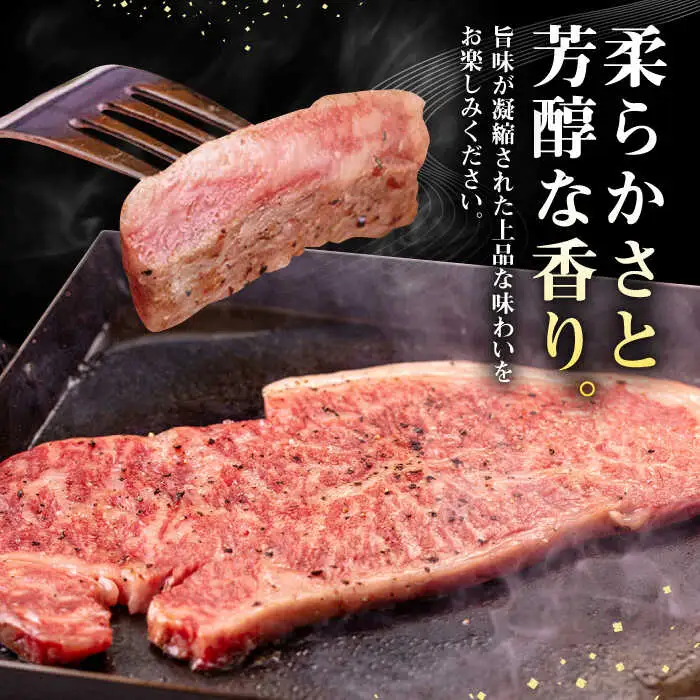 【全2回定期便】 壱岐牛 サーロインステーキ 500g（250g×2枚）《壱岐市》【株式会社イチヤマ】 肉 牛肉 サーロイン ステーキ 焼肉 BBQ [JFE109]