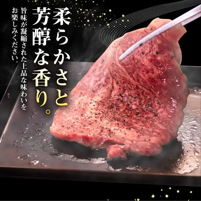 【全2回定期便】 壱岐牛 リブロースステーキ 500g《壱岐市》【株式会社イチヤマ】 肉 牛肉 リブロース ステーキ BBQ 焼肉 [JFE123]
