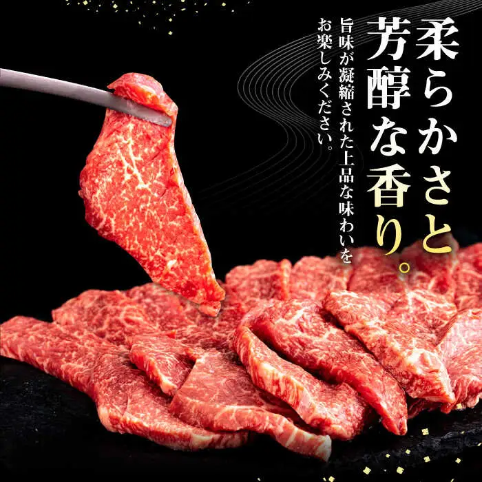 【全2回定期便】 壱岐牛 焼肉用 モモ 500g《壱岐市》【株式会社イチヤマ】 肉 牛肉 焼肉 もも BBQ [JFE124]