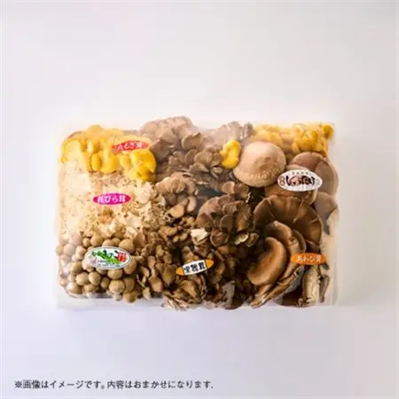 きのこの詰め合わせ　M(約1500g)_野菜  きのこ _【配送不可地域：離島・沖縄県】【1449115】