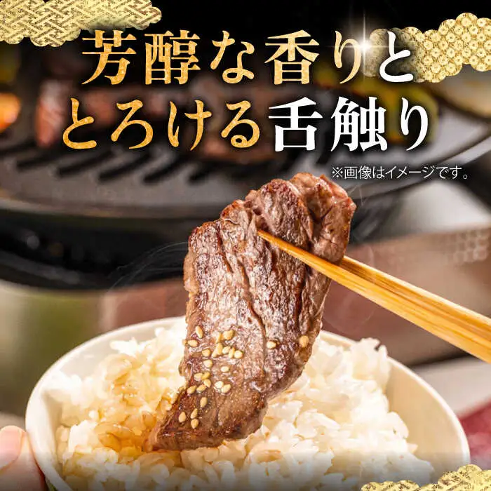 【全2回定期便】壱岐牛 赤身 焼肉用 400g《壱岐市》【中津留】 赤身 焼肉 BBQ 牛肉 [JFS078]