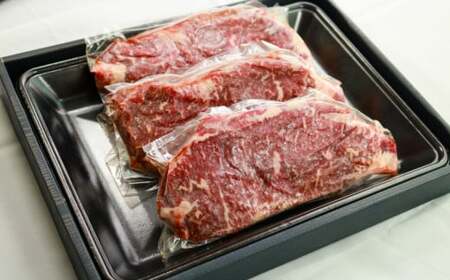 国産牛 赤身ステーキ 計約 540g （180g×3パック）千葉県 銚子市 イシゲミート