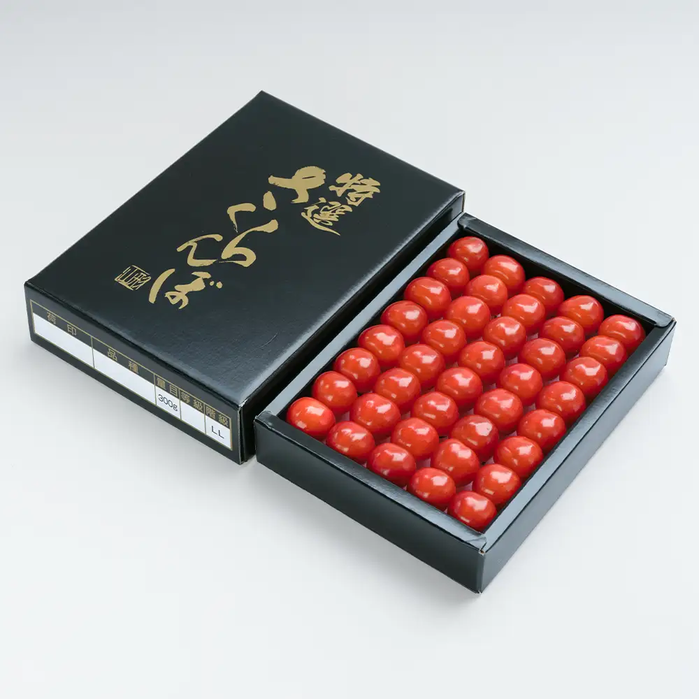 《先行予約》 さくらんぼ 佐藤錦 特秀2Lサイズ プレゼント ギフト 化粧箱入 300g 2027年産 令和9年産 山形県産 ns-snt2x300
