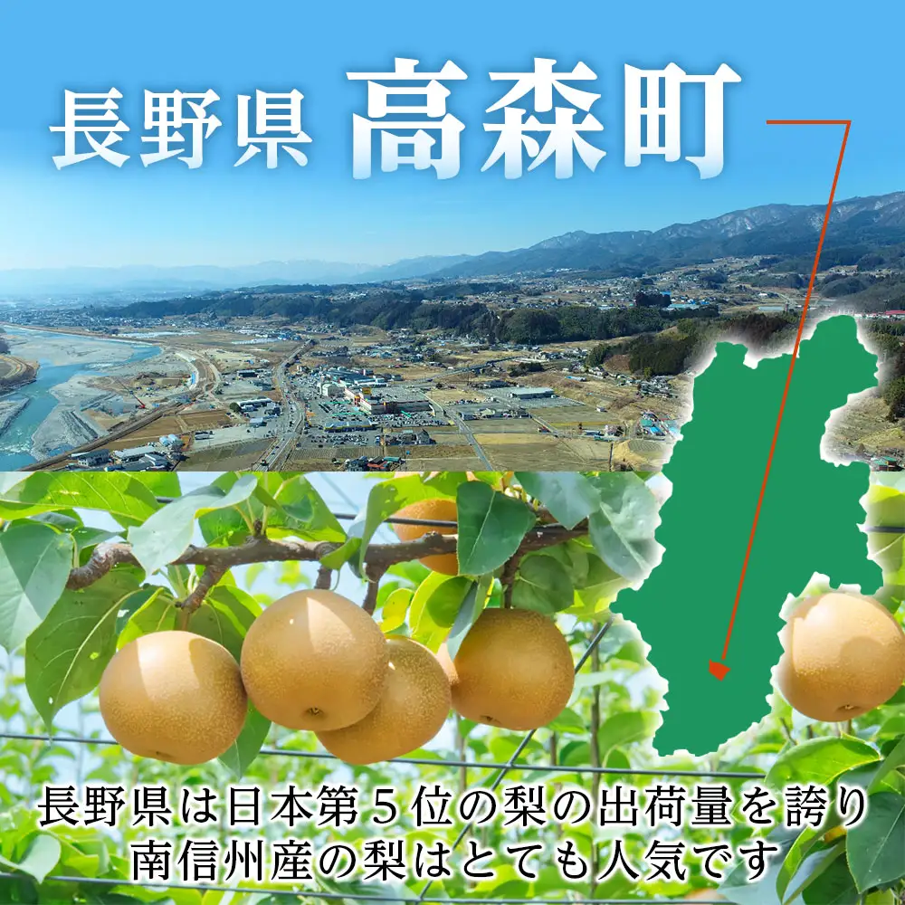 【長野県産】果汁たっぷりで甘～い梨（南水）約5kg秀品＜2026年9月中旬から発送＞