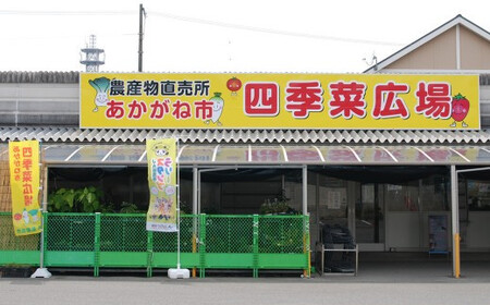 白米 精米 「新居の恵み (ヒノヒカリ) 令和7年産」 5kg と 季節の野菜 約2kg セット（クール便でお届け）
