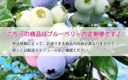 【定期便】 ブルーベリー三昧Cセット（約26kg／13回発送） 完熟生ブルーベリー（8月中旬以降は冷凍ブルーベリー） エコえひめ認証