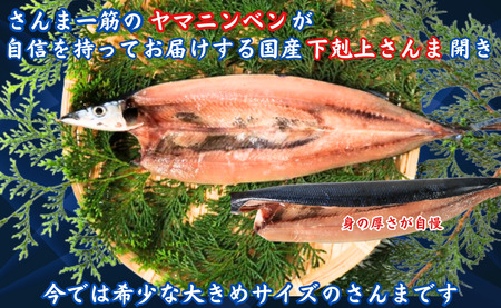訳ないでぇ さんま開き１６枚 分けないで 下剋上 さんま 開き さんま サンマ 秋刀魚 さんま開き 訳なし サンマ開き 大きい 希少サイズ 正規品 国産さんま開き 国内加工 季節の味覚 銚子 海の幸 海鮮 干物 開き 冷凍 新鮮 贈り物 お取り寄せ 千葉県 銚子市