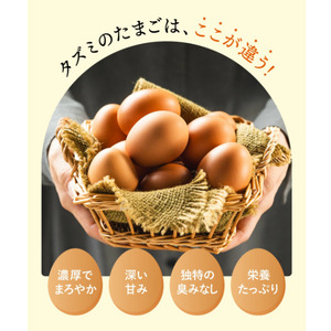 【しゃべくり007で紹介】【定期便】タズミの卵(30個×6ヶ月)044AB01N.／こだわり卵 市川町産 兵庫県産 たまご たまごかけご飯 玉子 生卵 鶏卵 卵　卵焼き TKG 6か月 定期便