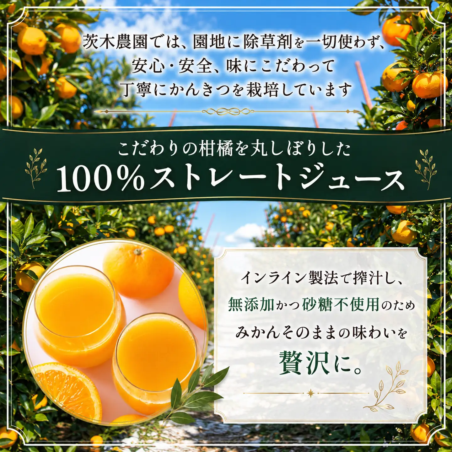 茨木農園のみかんジュース（720ml×1本）みかんジュース ストレート