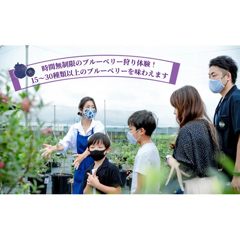 ブルーベリー食べ比べ体験ペアチケット(大人) 