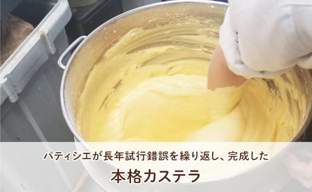 【ふるさと納税】 天神 カステラ 12個入り ヤマオカ スイーツ デザート ギフト お祝い 贈答品 中元 歳暮 数量限定 期間限定 人気 ふるさと納税 ふるさと 人気 おすすめ 送料無料 兵庫県 三田市