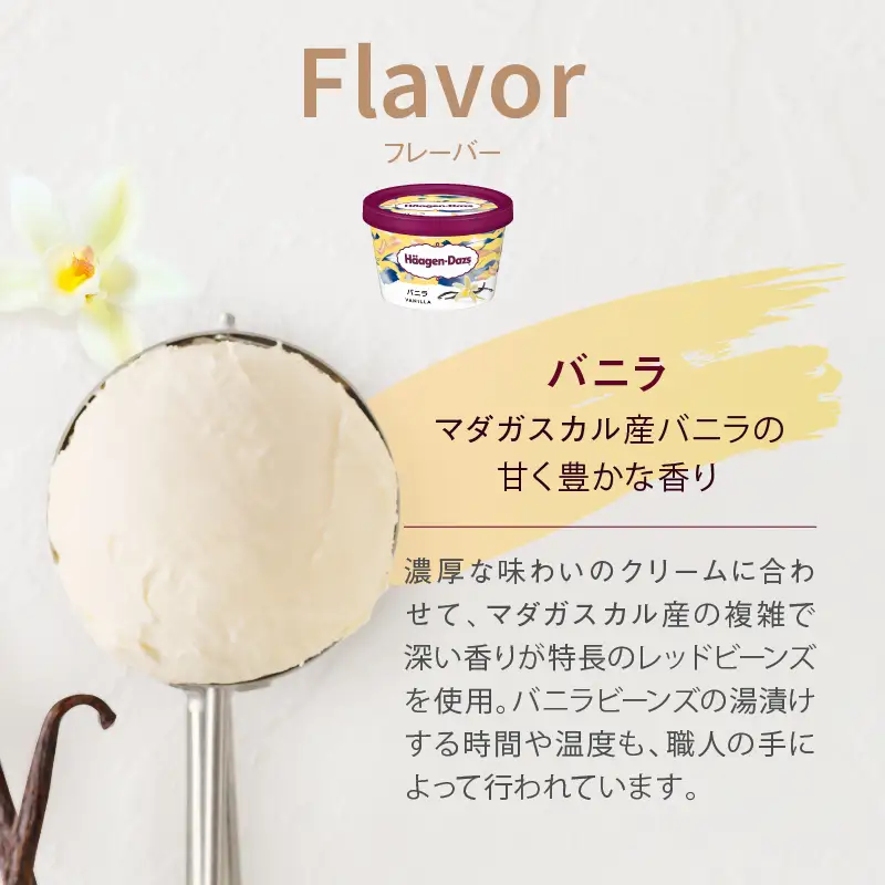 ハーゲンダッツ『ミニカップ24個セット(バニラ味)』アイスクリーム アイス スイーツ デザート_H0016-129