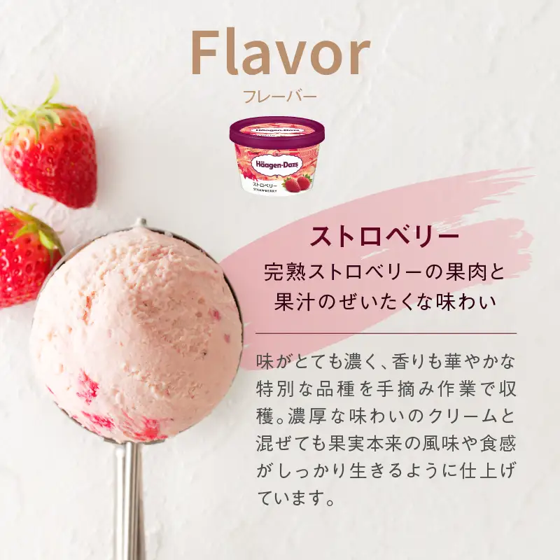 ハーゲンダッツ『ミニカップ24個セット(ストロベリー味)』アイスクリーム アイス スイーツ デザート ミルクアイス アイススイーツ アイスデザート_H0016-130