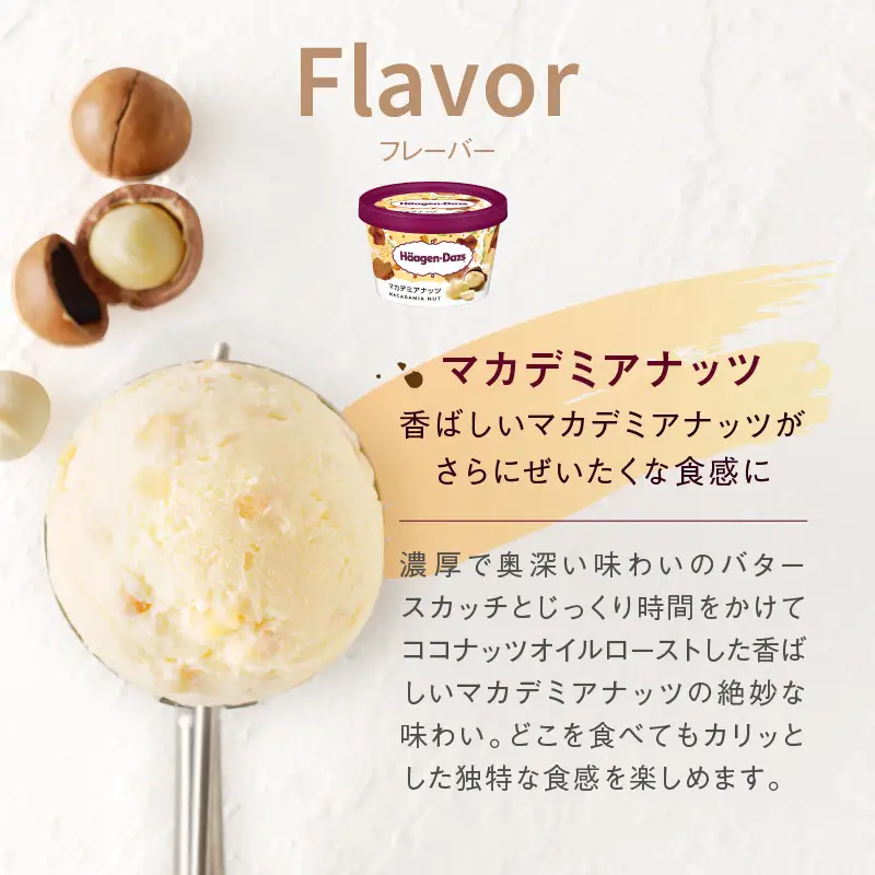 ハーゲンダッツ『ミニカップ12個セット(マカデミアナッツ味)』アイスクリーム アイス スイーツ デザート ミルクアイス アイススイーツ アイスデザート_H0016-118