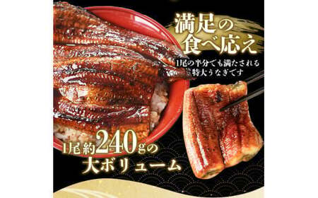▼うなぎ蒲焼 4尾 計約960g （タレ・山椒付き） 1尾で約240gのビッグサイズ 【通常発送】 【nks205-240x4-tu-C】