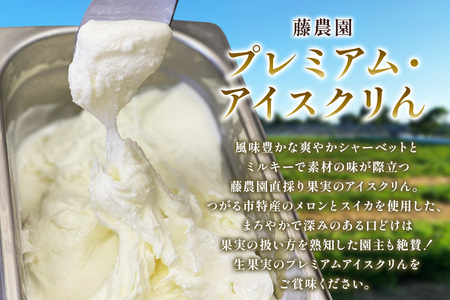 藤農園のプレミアム果物アイスクリん 120ml×6個セット｜メロン スイカ シャーベット ジェラート 舐瓜 西瓜 [0922]