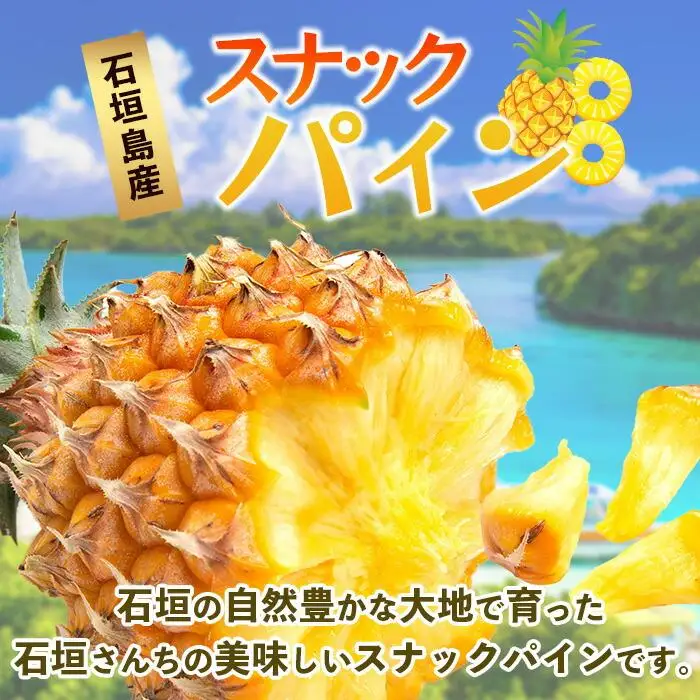 【先行予約】《2027年5月上旬頃より順次発送》石垣島産 スナックパイン (4玉 約4kg)【 産地直送 沖縄 石垣 パイナップル パイン スナック フルーツ トロピカル 南国 】 TP-8-1
