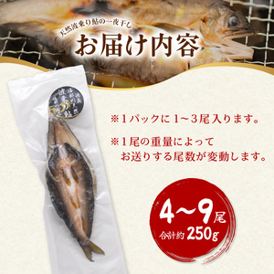 天然波乗り鮎の一夜干し 約250g 4～9尾 干物 一夜干し 鮎 天然 熟成 あゆ アユ 天然鮎 清流 海部川 川魚 簡単調理 冷凍 
