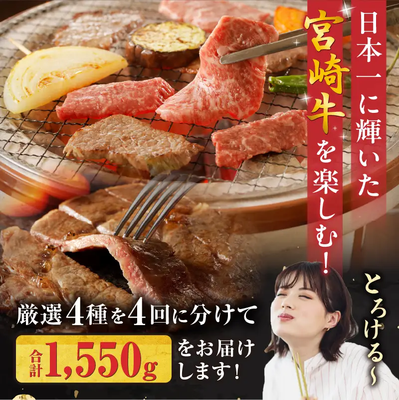 【定期便全4回】宮崎牛づくしコース 宮崎牛 焼肉 牛肉