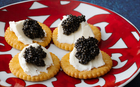 THE・CAVIAR(ザ・キャビア) 20g ecoパッケージ 訳あり:簡易パッケージ版  TF0772-P00066