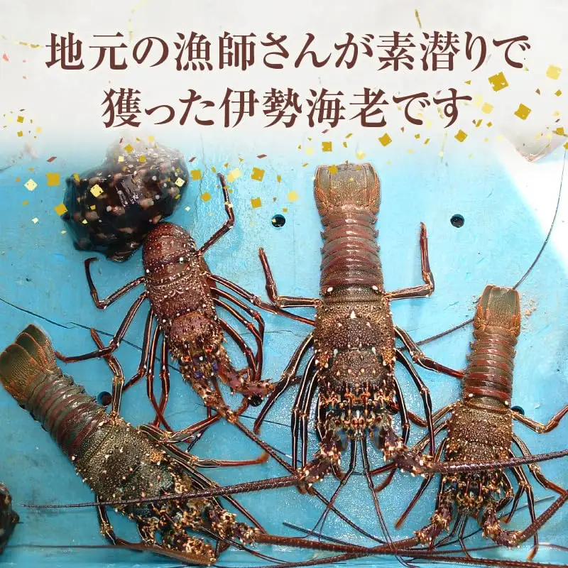沖永良部島 の 天然 イセエビ 1匹 C010-021 魚介類 冷凍 海老 エビ 伊勢海老