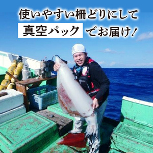 沖永良部島 イカ の 王様 ！ ソデイカ 1kg C010-023 魚介類 冷凍 烏賊