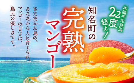 ふじ農園 の 完熟 マンゴー 2kg C031-002 果物 フルーツ