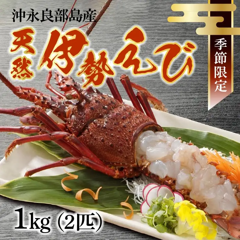 沖永良部 島産！ 天然 の 伊勢えび 1kg ( 2匹 ) C034-002 魚介類 冷凍 海老 エビ 伊勢海老