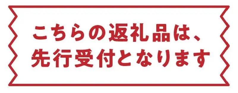 【2027年先行予約】竹マンゴーファーム 贈答用パッションフルーツ（12個入り） C039-002 パッションフルーツ パッション