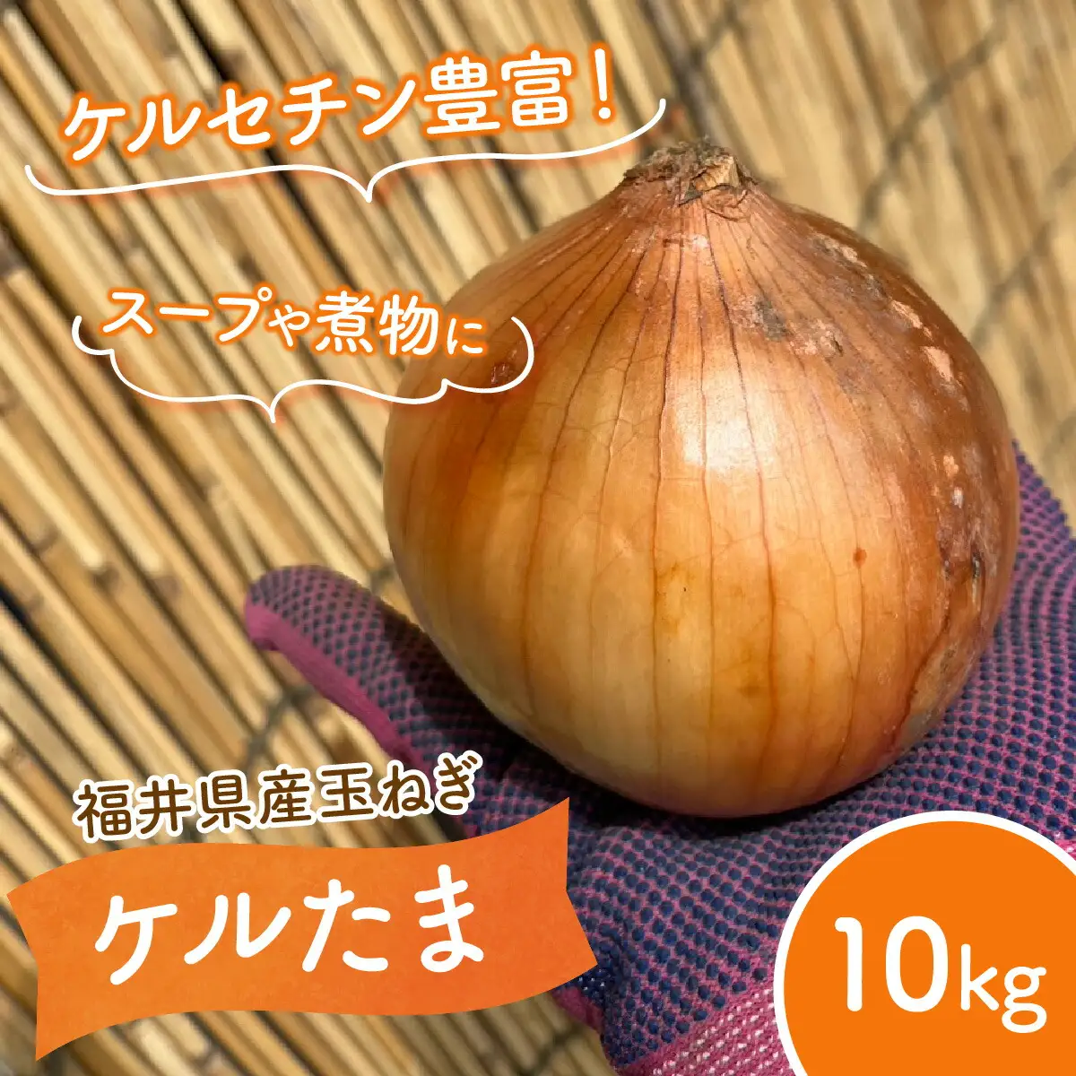 【 先行予約 / 7月上旬より発送】 福井県産 玉ねぎ ケルたま 10kg / 野菜 やさい タマネギ / 小浜市 たまねぎ / 今富の宝 [BFCI001] 