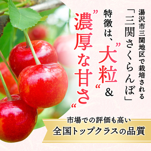 三関産さくらんぼ「佐藤錦」600g 秀2L さくらんぼ 秋田県産 小分け さくらんぼ 佐藤錦 さくらんぼ バラ詰め さくらんぼ フルーツ さくらんぼ【奥山果樹園】[B67-7801]