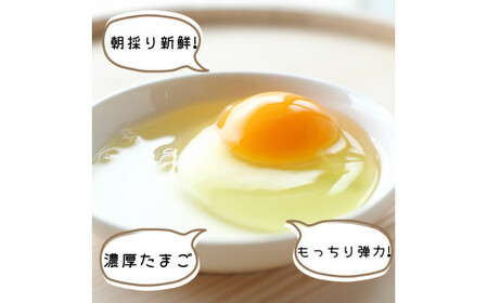 平飼い！高級有精卵 30個入り（Lサイズ） / 玉子 たまご 高級 平飼い 贈答 【ymg609-p-30A】