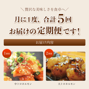 【5回定期便】 幸福亭 ホルモン定期便