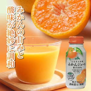 ふるさとの味 みかんジュース（190g×30本）_2403R