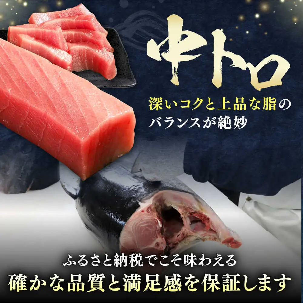 【1週間以内発送】対馬産 本マグロ 中トロ 1.2kg(8パック)マグロ まぐろ 本鮪 中とろ [WAH020] スピード発送 最速発送 最短発送