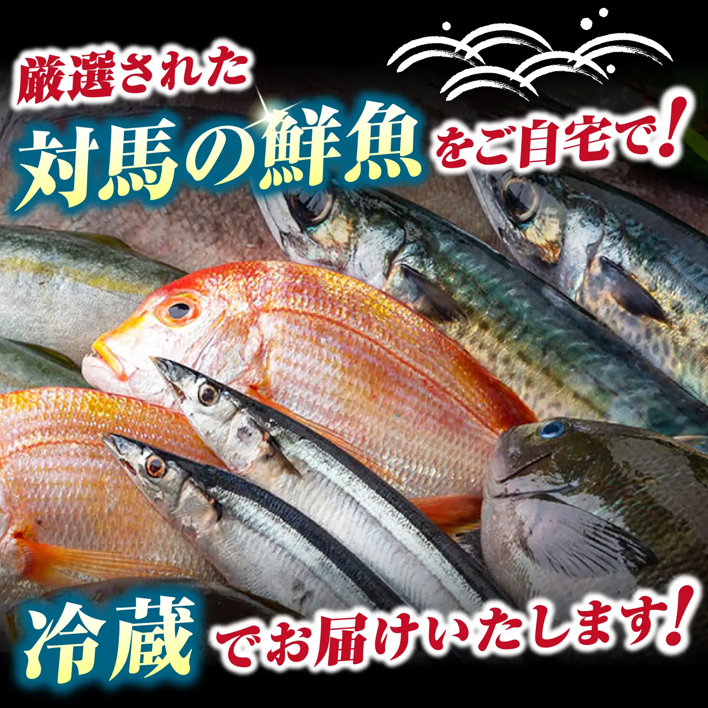 【期間限定！】対馬産 鮮魚 詰め合わせ 4種前後 2.5kg 新鮮 天然 直送 セット [WAH021]