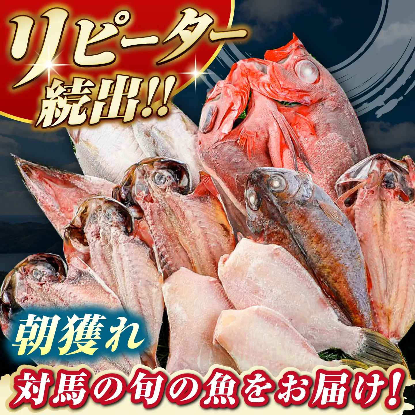 対馬産 旬の地魚 干物 5種 セット 直送 旬 ひもの 朝食 イカ サバ  [WAH024]