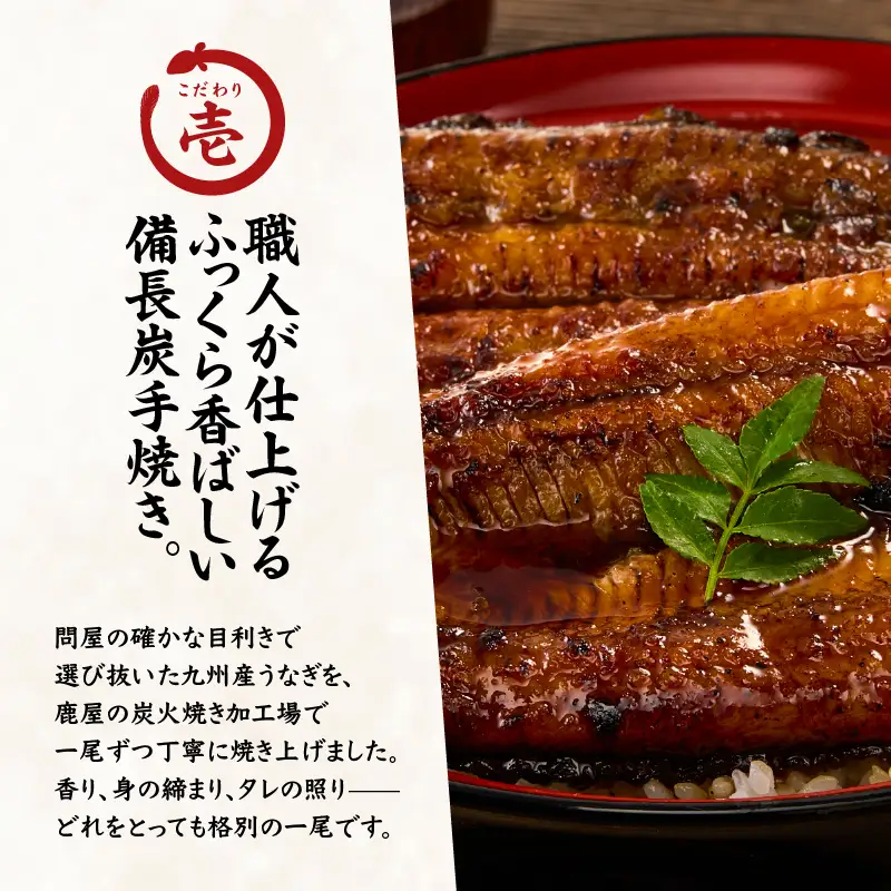 2423 【 期間限定 】 訳あり 備長炭手焼き うなぎ蒲焼 10尾 1,000g KN029-002-02 魚 冷凍 鰻
