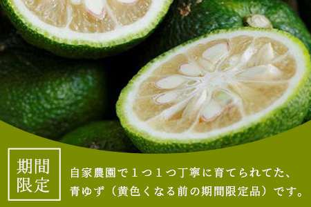 【先行受付・期間限定】徳島県那賀町産 木頭ゆず 青ゆず 1Kg (約12個) 【8月下旬頃より発送】徳島 木頭地区 栽培期間中農薬・化学肥料不使用 柚子 ユズ 青柚子 黄金の村 国産 新鮮 薬味 柑橘 産地直送 OM-135