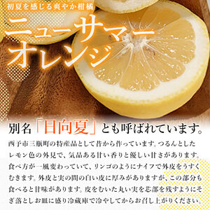 愛媛県西予市産「ニューサマーオレンジ」家庭用 約4kg MMN0001