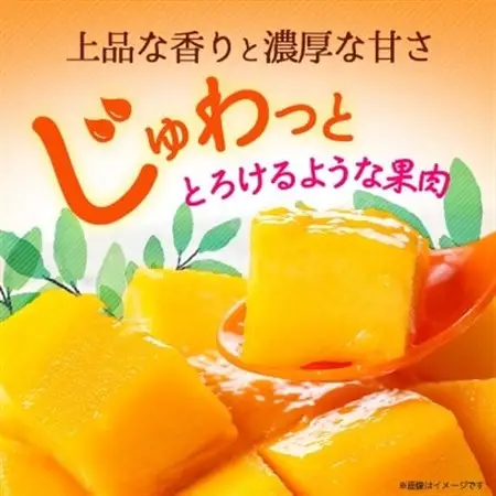 【2027年6月から順次発送・訳あり】アップルマンゴー1.5kg(3～6玉)【配送不可地域：離島】【1494040】