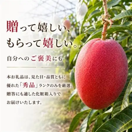 【2027年7月から順次発送・化粧箱】JAおきなわ厳選のアップルマンゴー2kg(3～6玉)【配送不可地域：離島】【1494044】
