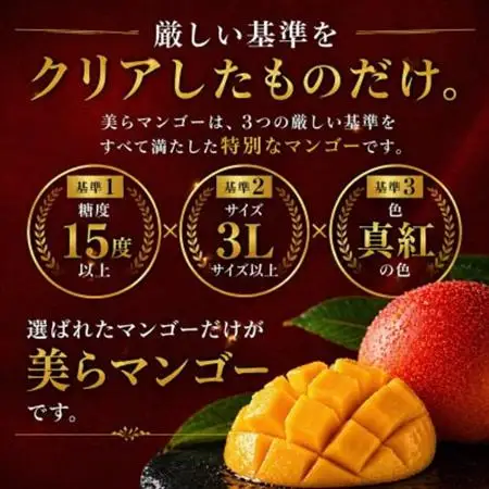 【2027年7月から順次発送・数量限定】糖度15度以上を選別した「美らマンゴー」2玉(約900g)【配送不可地域：離島】【1494045】