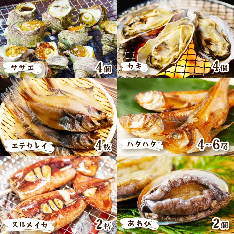 大満足！京丹後・海鮮BBQ　Dセット　贅沢アワビ付　6種22品（4～5人前）（2026年4月中旬～発送） 魚介類 さざえ 蠑螺 カキ かき いか かれい あわび 鮑 バーベキュー ばーべきゅー きゃんぷ アウトドア あうとどあ 個包装 冷凍 送料無料