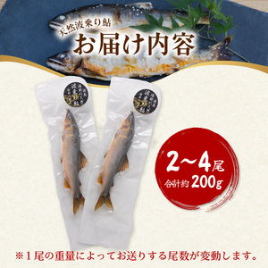 天然波乗り鮎 約200g 2～4尾 鮎 天然 約200g あゆ アユ 天然鮎 清流 海部川 川魚 冷凍