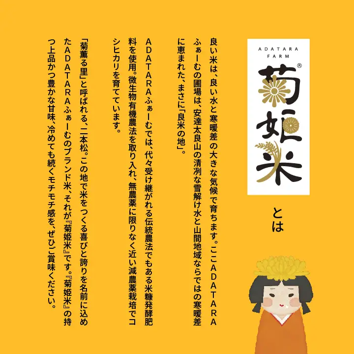 米 令和7年産 コシヒカリ精米10kg（5kg×2袋）【ADATARAふぁーむ】