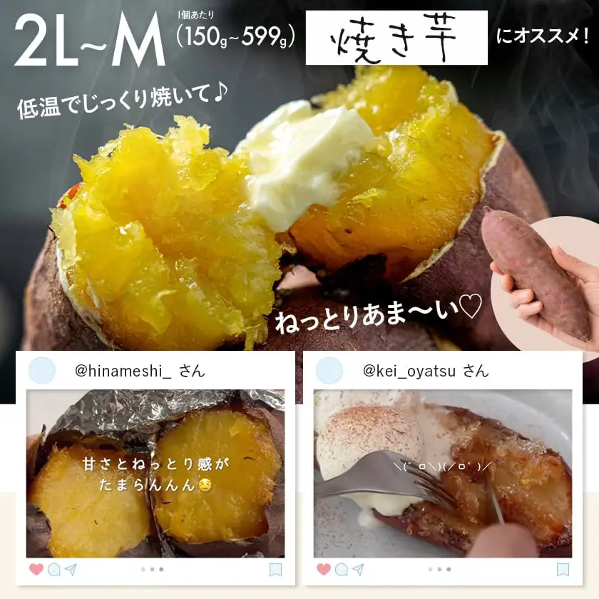 先行受付!【11月お届け】島津甘藷　熟成紅はるか 10kg(2L～M)〔12-A7-001-10kg-11〕_(都城市) 島津甘藷 紅はるか 未選別 10kg 2L～M